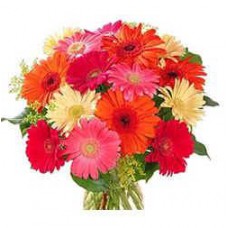 Hand Bouquet of 10 Stalks of Mixed Coloured Gerberas
